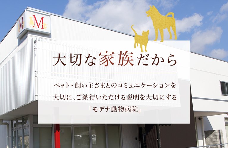 大切な家族だから ペット・飼い主さまとのコミュニケーションを大切に。ご納得いただける説明を大切にする「モデナ動物病院」