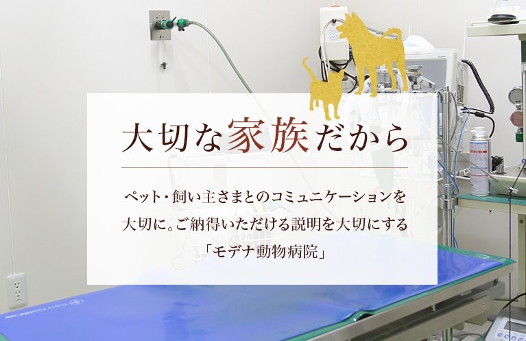 大切な家族だから ペット・飼い主さまとのコミュニケーションを大切に。ご納得いただける説明を大切にする「モデナ動物病院」