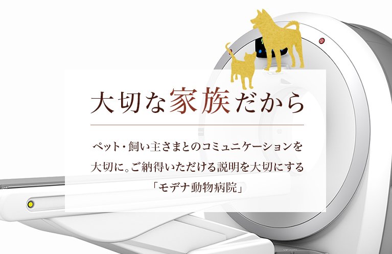 大切な家族だから ペット・飼い主さまとのコミュニケーションを大切に。ご納得いただける説明を大切にする「モデナ動物病院」